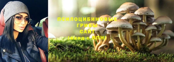 герыч Кинешма